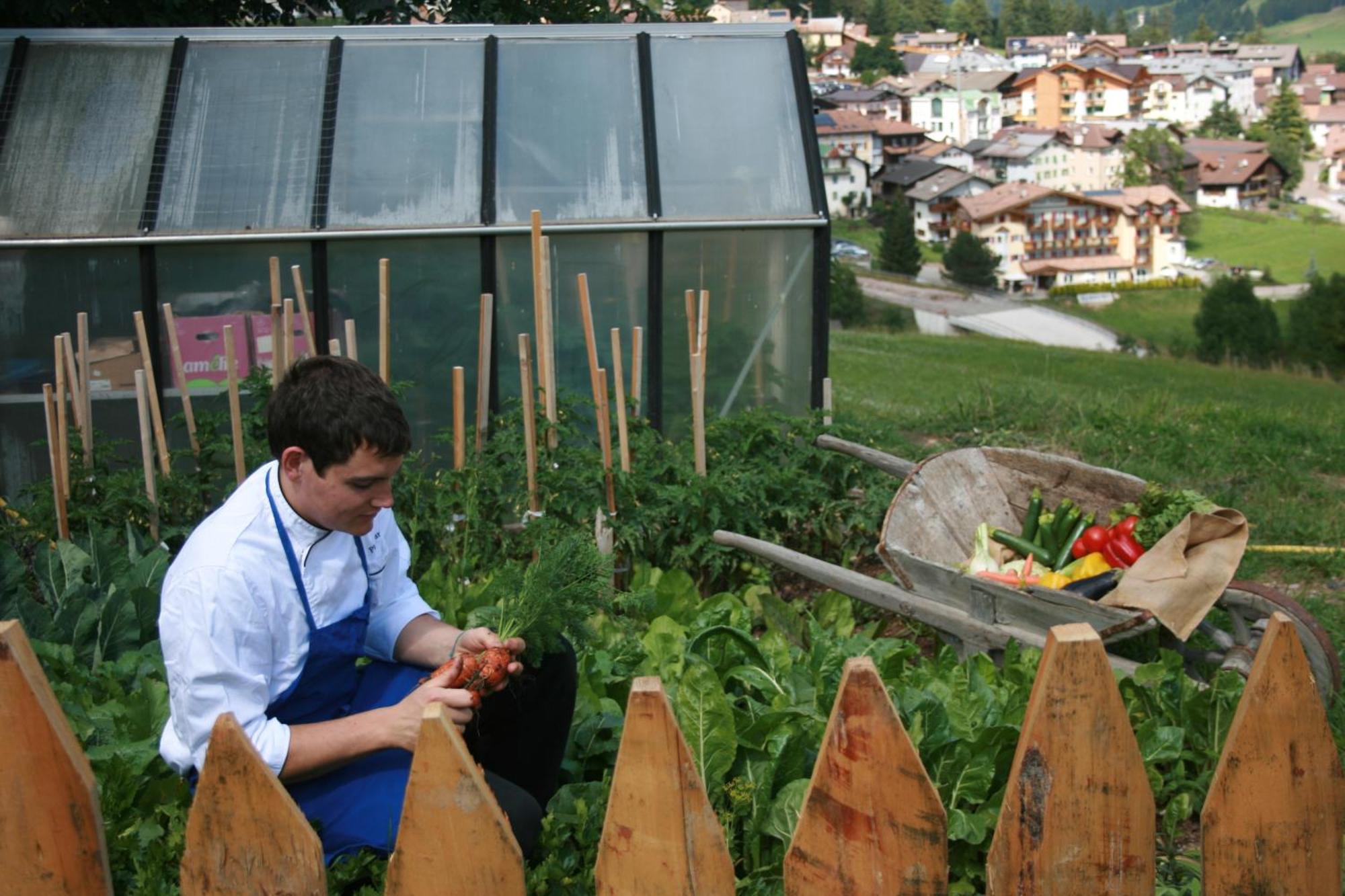 Hotel Catinaccio Vigo di Fassa Eksteriør bilde
